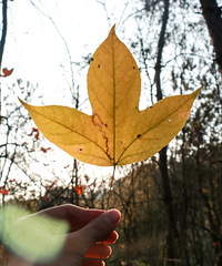 ��ϱ��ȥ��ѵ һ���˹��˼���Ľ���Ѿõľ���