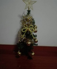 5��������ʥ����������