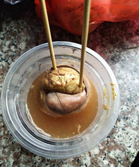 �����ϡ���˵����Ǽ��ˣ�2.5Ԫ1���ˣ�