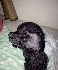 Ѱ�ҹ�����