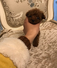 ׼������������Ȼ��Ϳ������¼�����ϲ����