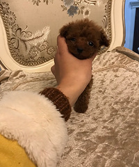 ׼������������Ȼ��Ϳ������¼�����ϲ����