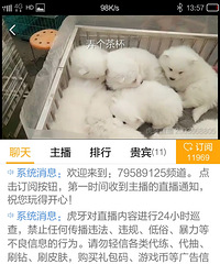 ����ʲôֱ������