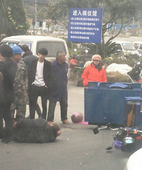 �䰮��������������