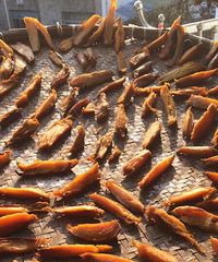 ���۸��᡿��ʳ���ˣ����ж����˼�ɹ�����