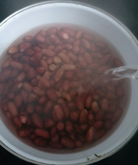 ������ϸ�� ���������Ż�����