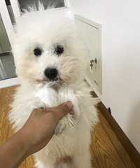 ����4����