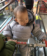 ŷ���˿����ѽ