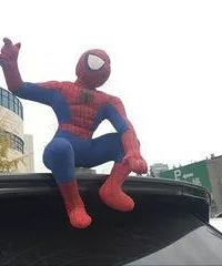 ���Ϸ�֩����Υ��