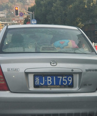 �����������˵��������������11�����ʷ��