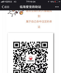 ��ֻ��������һ�����������Ǵ�Сһ�𳤴�