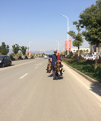 这个在大街上叫卖的是野鸭吗?