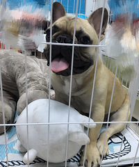 ���Ҽ������Ҹ�������Ů����