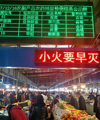 ��˳�����������