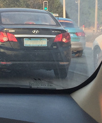 ����Ҳ����ɫ��