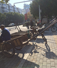 最原始的运输工具还能在高速发展的城市生存