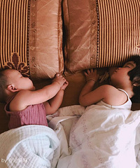 �Ҽҵ���Сֻ