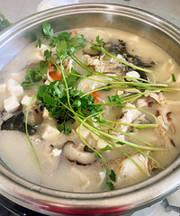 ���Ų���Ŷ