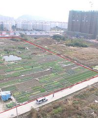 ·����ͩ����Ƴ����ȵ� סլȫ���ع�