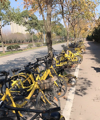 �����ϡ����Ĵ��С�Ƴ�����