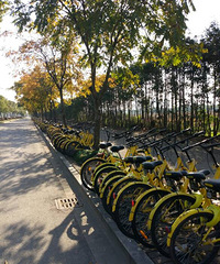 �����ϡ���ô��Ĺ��������ҷ���������