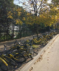 �����ϡ���ô��Ĺ��������ҷ���������