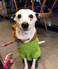 ��Ҫ��װ����ҲҪ�����·�����up��