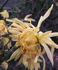 �þ�ûȥ¥����..��ȥһ��...�û���ѽ