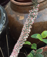 �þ�ûȥ¥����..��ȥһ��...�û���ѽ