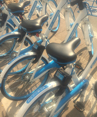 ���۸��᡿С�������������