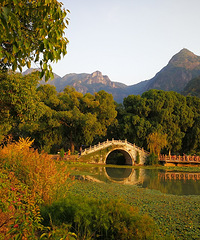 ���Ҿŷ幫԰������Ӱ