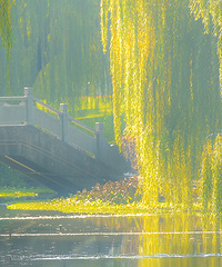 ����ʱ�ڽ�ɫ����