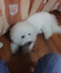 �ҹ��ҹ���лл��