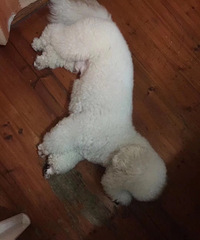 �ҹ��ҹ���лл��