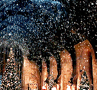 ʥ����������ô����