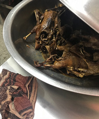 ������ŨŨ������ϵ�ζ�� Сʱ�����ųԵ�