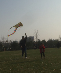 ���۸��᡿������������ĸ���