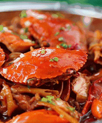 ��̩�ָ��������죡5.8��������ң�