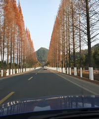 �����Լ� ����С֥��������һ��