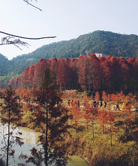 �����Լ� ����С֥��������һ��