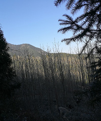 2017���չ�֮�� ���Դ�Խ����ʮ����