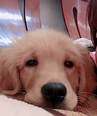 ��˵��ҹһ��ת��