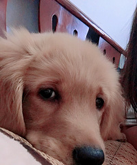 ��˵��ҹһ��ת��