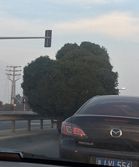 �ô�һ�����ߵġ���������