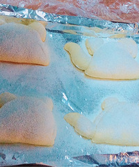 С�����ɼ�֮Сè��ɳ���