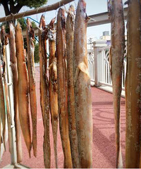 ����ˣ������׼����