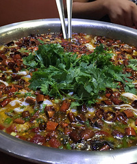 �������� һ�����¶�ȥ�������