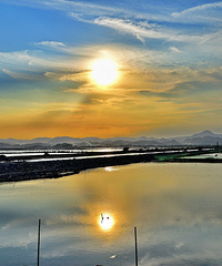 Ϧ�����޺�