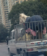 ������������