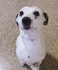 ������һ����Ҫ��������ҳ�����ʲô��û��